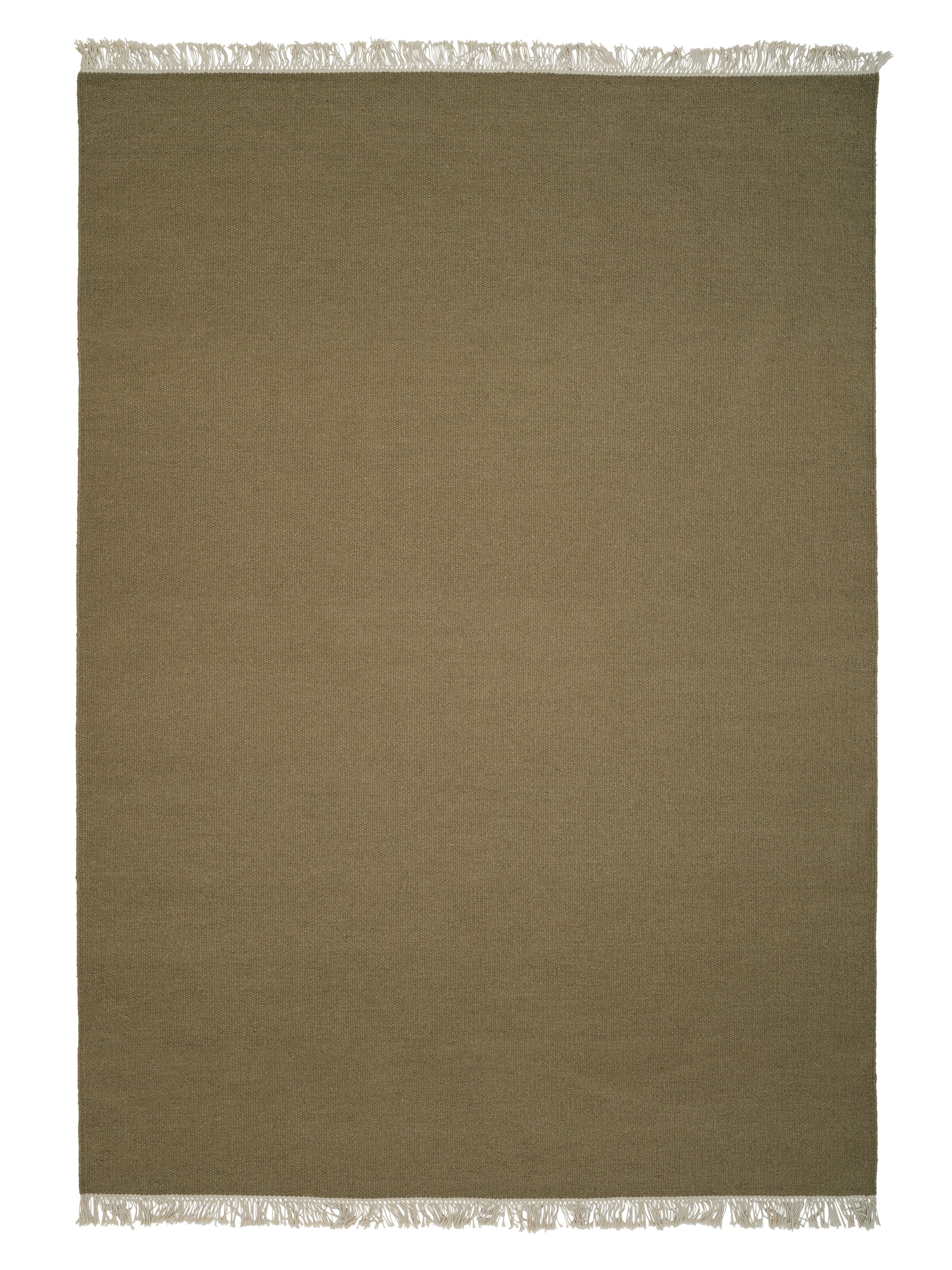 2041464_1_Rainbow_olive_638645