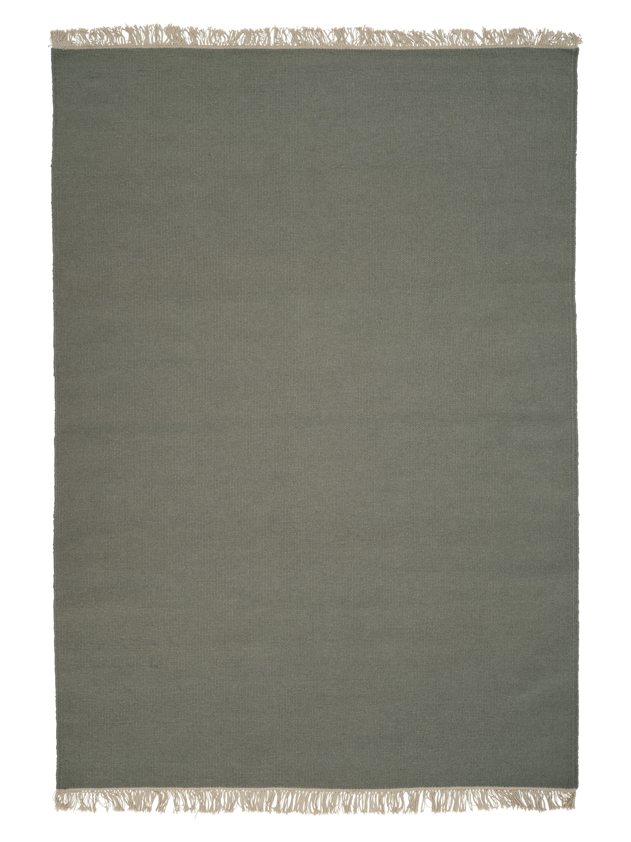 Rainbow – Linie Design