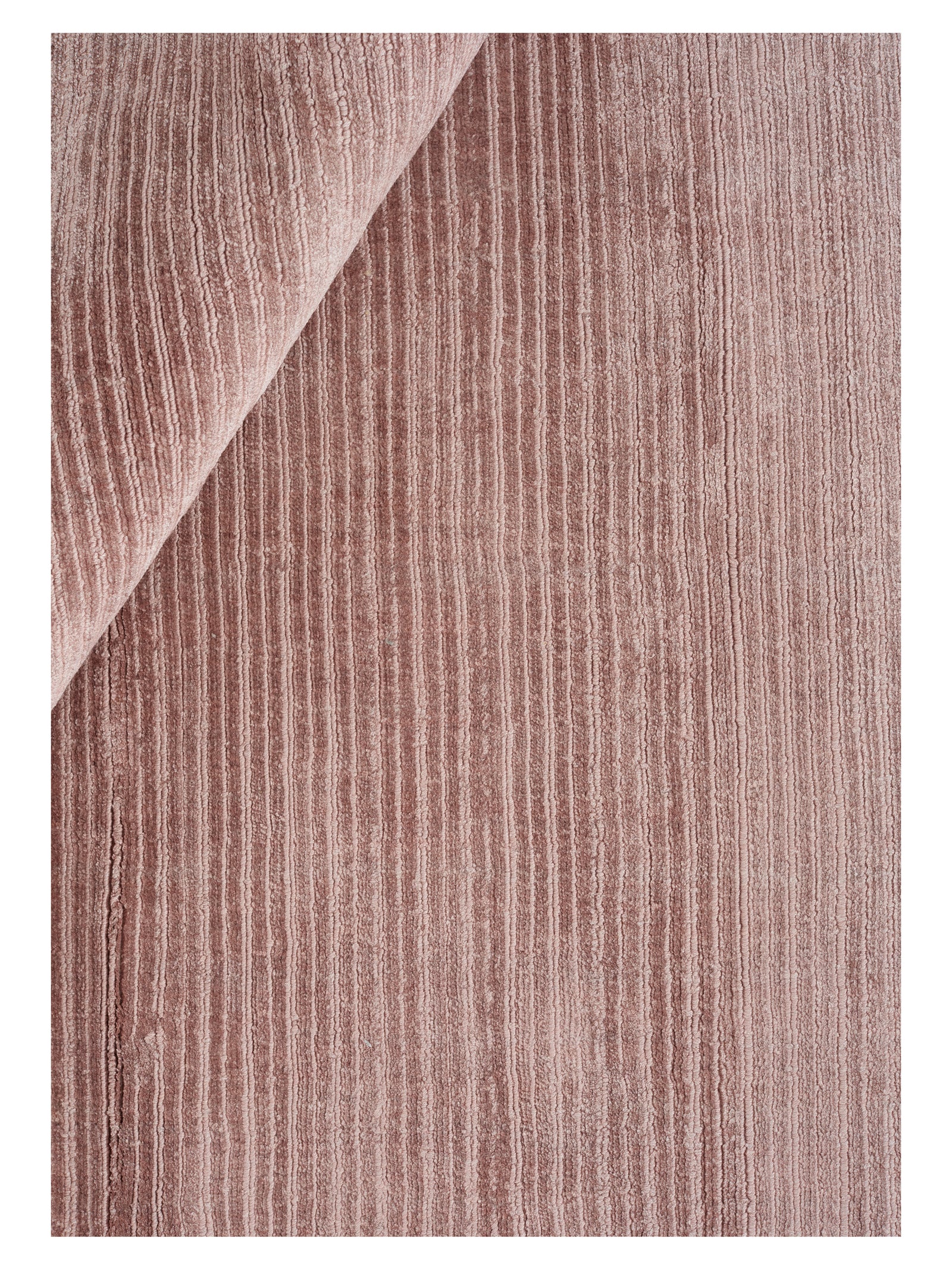 2059350_2_Cover_rose_CU_638410